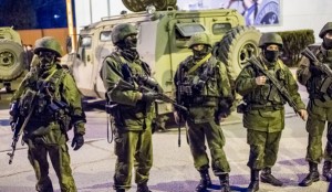 Krym: Pułki p-lot po stronie Krymu