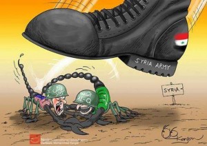 Syria: Szczury zagryzają się nawzajem