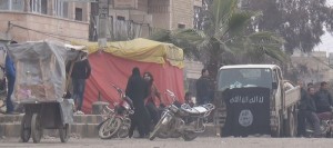 Syria: Strajk w Aleppo przeciwko szczurom