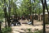 Ukraina: Antywojenne nastroje na zachodzie