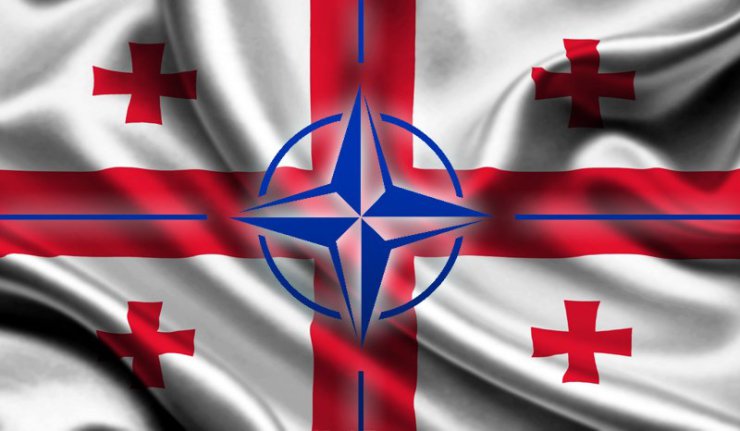 Gruzja: Będą bazy „syryjskich” szczurów?