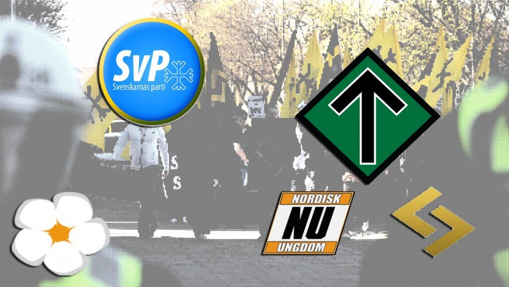Szwecja: Polacy przeciw imigracji