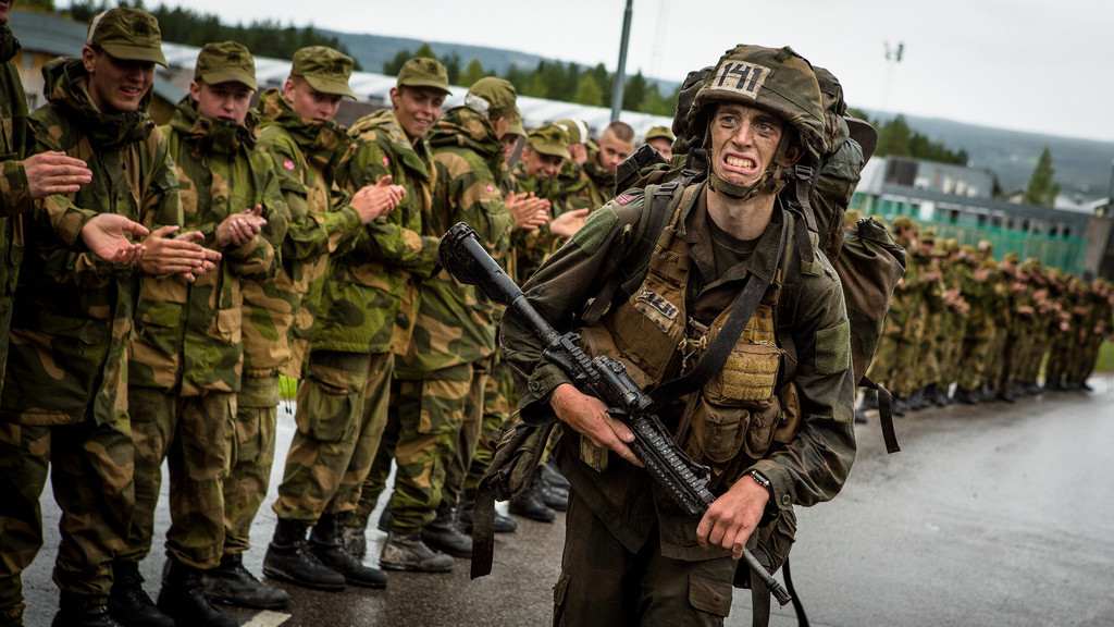 Norwegia: Wyszkolimy syryjskie szczury